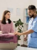 Assistência Pet Saúdepets Assistência Pet Saúdepets