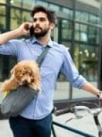 assistência animal Saúdepets assistência animal Saúdepets