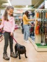 convênio pet benefícios Saúdepets convênio pet benefícios Saúdepets