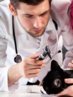 Assistência Pet Saúdepets Assistência Pet Saúdepets